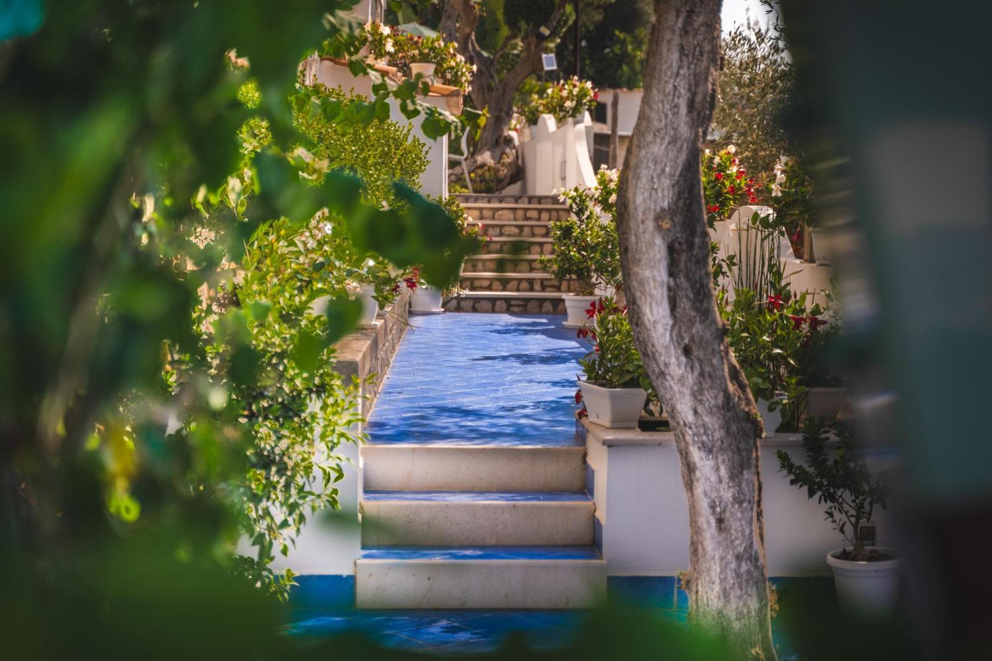 Villa Islamorada Pool And Sea View Massa Lubrense Ngoại thất bức ảnh